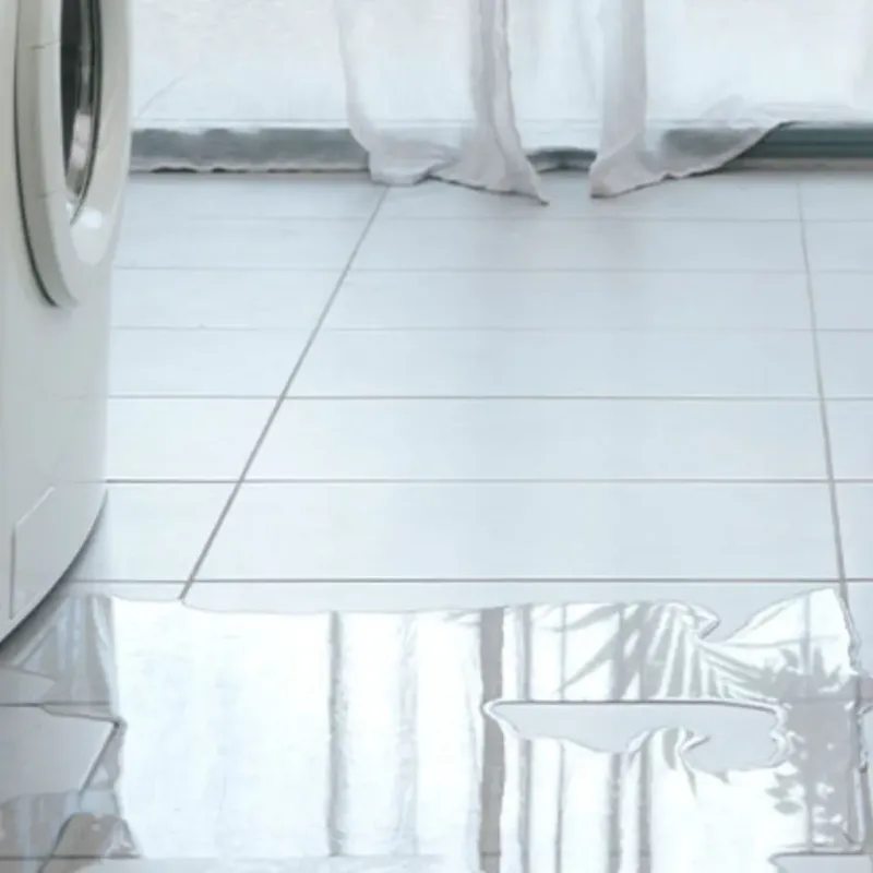 Appliance Leak Cleanup in Girard, KS