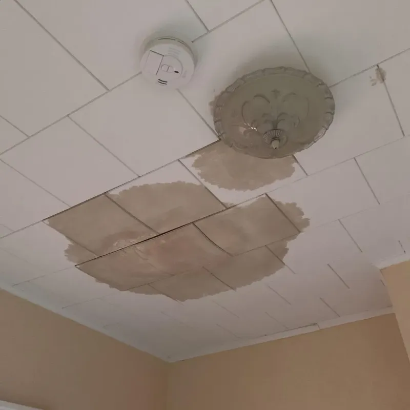 Ceiling Water Damage Repair in Girard, KS