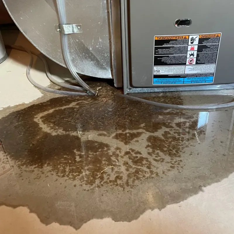 Pipe Burst and Leak Restoration in Girard, KS