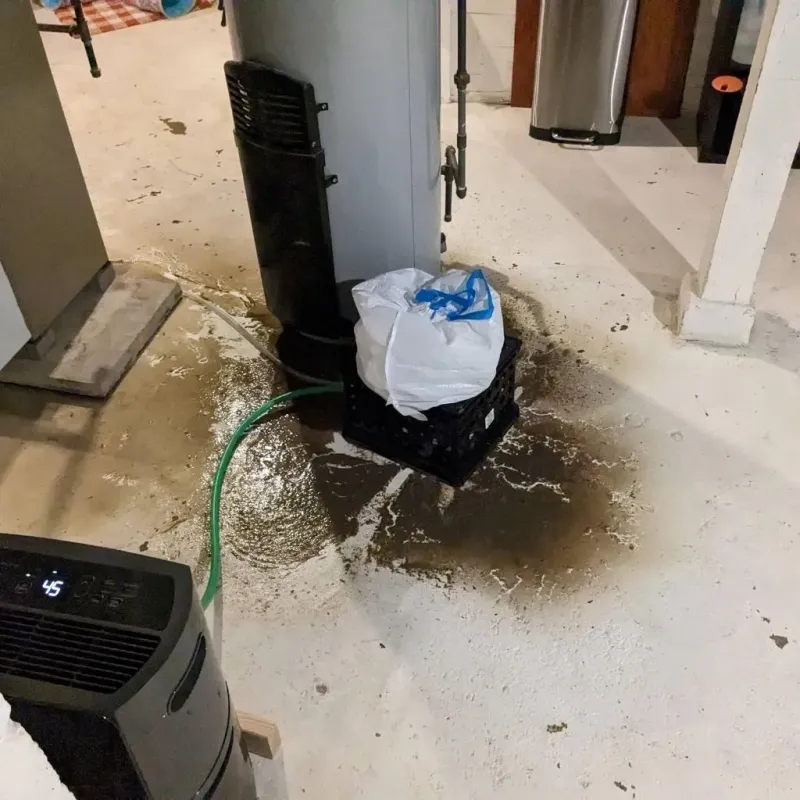 Sewage Backup Cleanup Service in Girard, KS